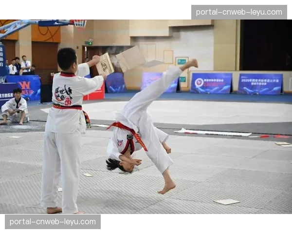 深度：跆拳道“旋转踢”技术风险与收益评估，运动损伤预防成科研新热点