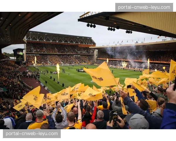 狼队确认降级后，球迷看台高举感谢横幅送别球队